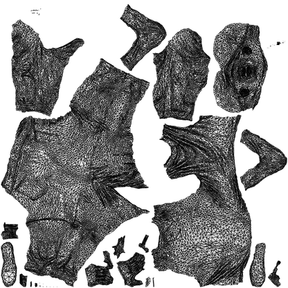 realistic 3D people man casual cycling, render-ready for V-Ray and Corona, FBX OBJ, wireframe top-down view