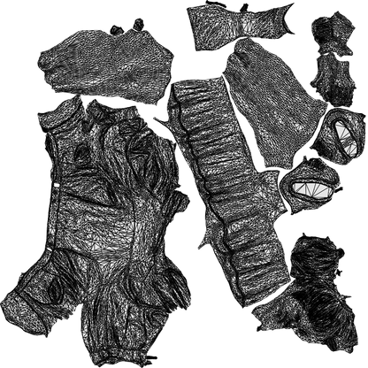 scanned 3D woman casual cycling, photogrammetry people for Enscape and V-Ray, wireframe top-down view