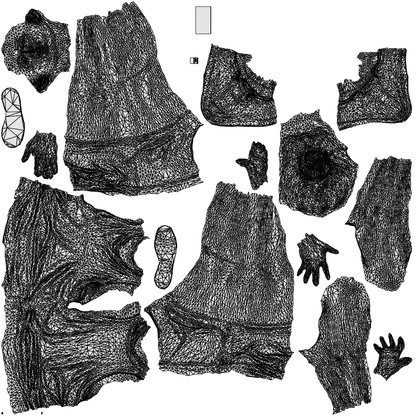 scanned 3D woman sport, photogrammetry people for Enscape and V-Ray, wireframe top-down view