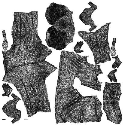 photogrammetry 3D woman casual standing, realistic human model archviz FBX, wireframe top-down view