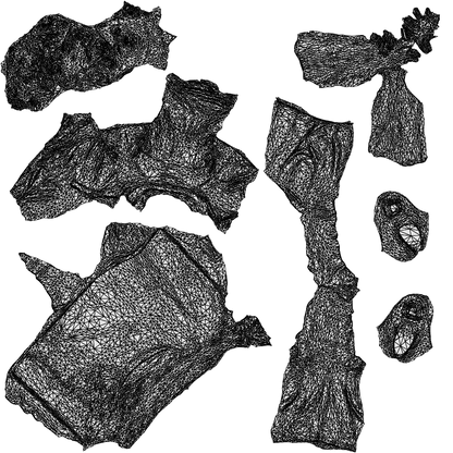 3D scanned woman standing, photorealistic archviz people for Enscape and SketchUp, wireframe top-down view