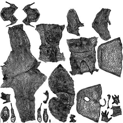 photogrammetry 3D woman casual walking, realistic human model archviz FBX, wireframe top-down view