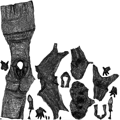 3D people model woman mix, scanned human for 3ds Max rendering, wireframe top-down view