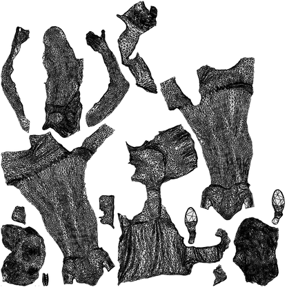 3D people model girl casual standing, scanned human for 3ds Max rendering, wireframe top-down view