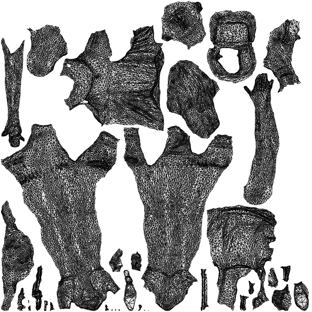realistic 3D people girl casual walking, render-ready for V-Ray and Corona, FBX OBJ, wireframe top-down view