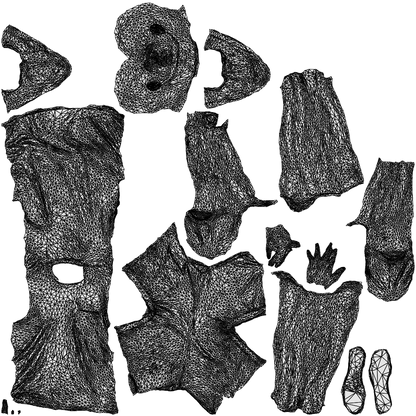 3D people model man casual walking, scanned human for 3ds Max rendering, wireframe top-down view