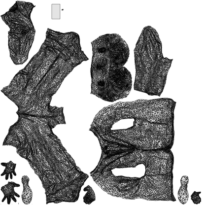 3D human model boy kids, photogrammetry scanned person for archviz, wireframe top-down view