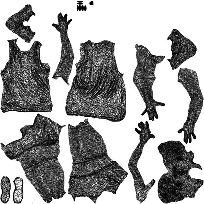 realistic 3D people woman sport, render-ready for V-Ray and Corona, FBX OBJ, wireframe top-down view