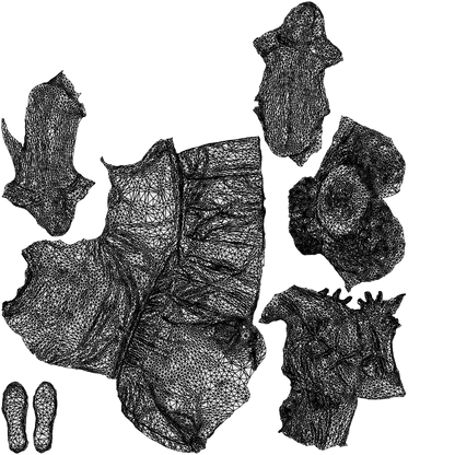 scanned 3D girl kids, photogrammetry people for Enscape and V-Ray, wireframe top-down view