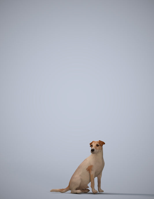 scanned 3D person misc, photogrammetry people for Enscape and V-Ray