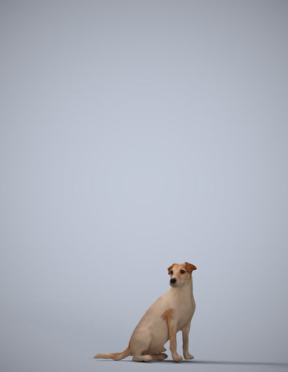scanned 3D person misc, photogrammetry people for Enscape and V-Ray