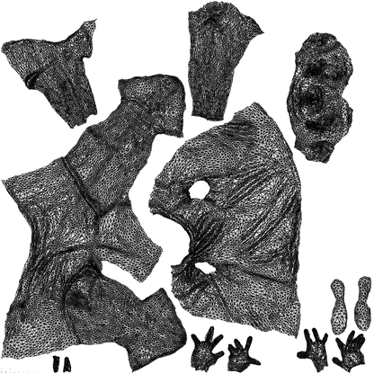 scanned 3D man sport, photogrammetry people for Enscape and V-Ray, wireframe three-quarter back view