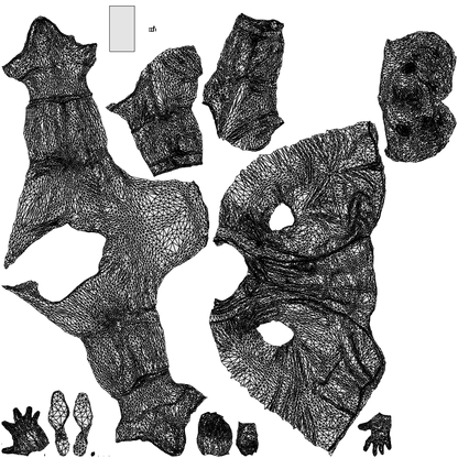 photogrammetry 3D man business, realistic human model archviz FBX, wireframe top-down view