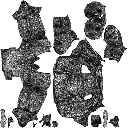 scanned 3D man business, photogrammetry people for Enscape and V-Ray, wireframe top-down view