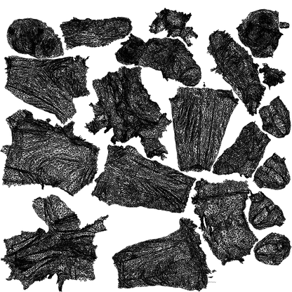 scanned 3D woman business, photogrammetry people for Enscape and V-Ray, wireframe top-down view