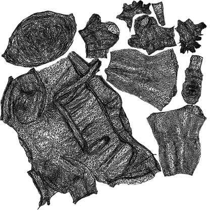3D people model woman business standing, scanned human for 3ds Max rendering, wireframe top-down view