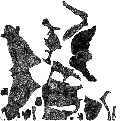 scanned 3D woman business walking, photogrammetry people for Enscape and V-Ray, wireframe top-down view