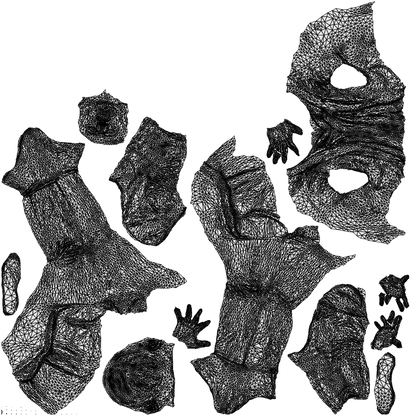 scanned 3D man business, photogrammetry people for Enscape and V-Ray, wireframe top-down view