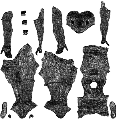 scanned 3D man casual cycling, photogrammetry people for Enscape and V-Ray, wireframe top-down view