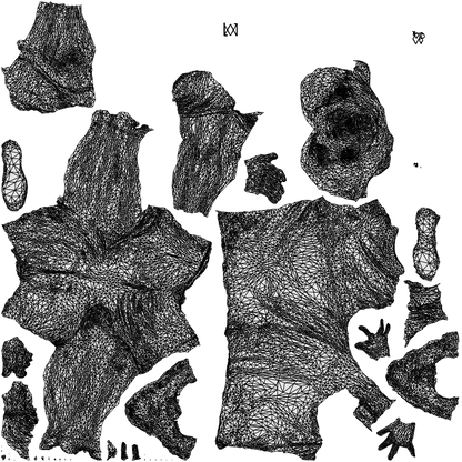3D scanned man sport, photorealistic archviz people for Enscape and SketchUp, wireframe top-down view