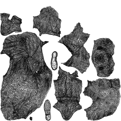 realistic 3D people man casual business, render-ready for V-Ray and Corona, FBX OBJ, wireframe top-down view