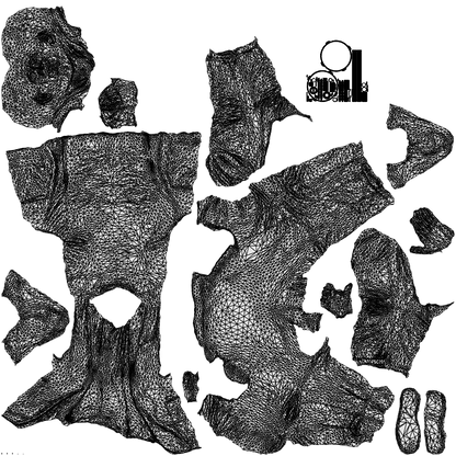 3D human model senior man business mix, photogrammetry scanned person for archviz, wireframe top-down view