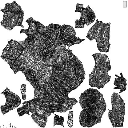 3D scanned senior woman sitting, photorealistic archviz people for Enscape and SketchUp, wireframe top-down view