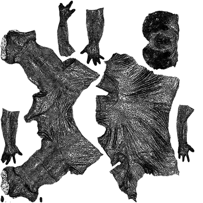 photogrammetry 3D man sport, realistic human model archviz FBX, wireframe top-down view