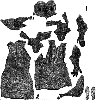 realistic 3D man sitting, scanned archviz people for Blender and 3ds Max, wireframe top-down view