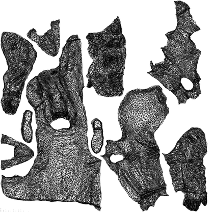 scanned 3D man formal formalaffairs, photogrammetry people for Enscape and V-Ray, wireframe top-down view
