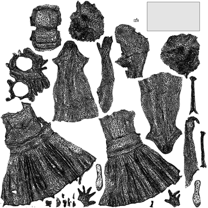 scanned 3D woman formal formalaffairs, photogrammetry people for Enscape and V-Ray, wireframe top-down view