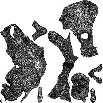 3D people model man casual sitting, scanned human for 3ds Max rendering, wireframe top-down view