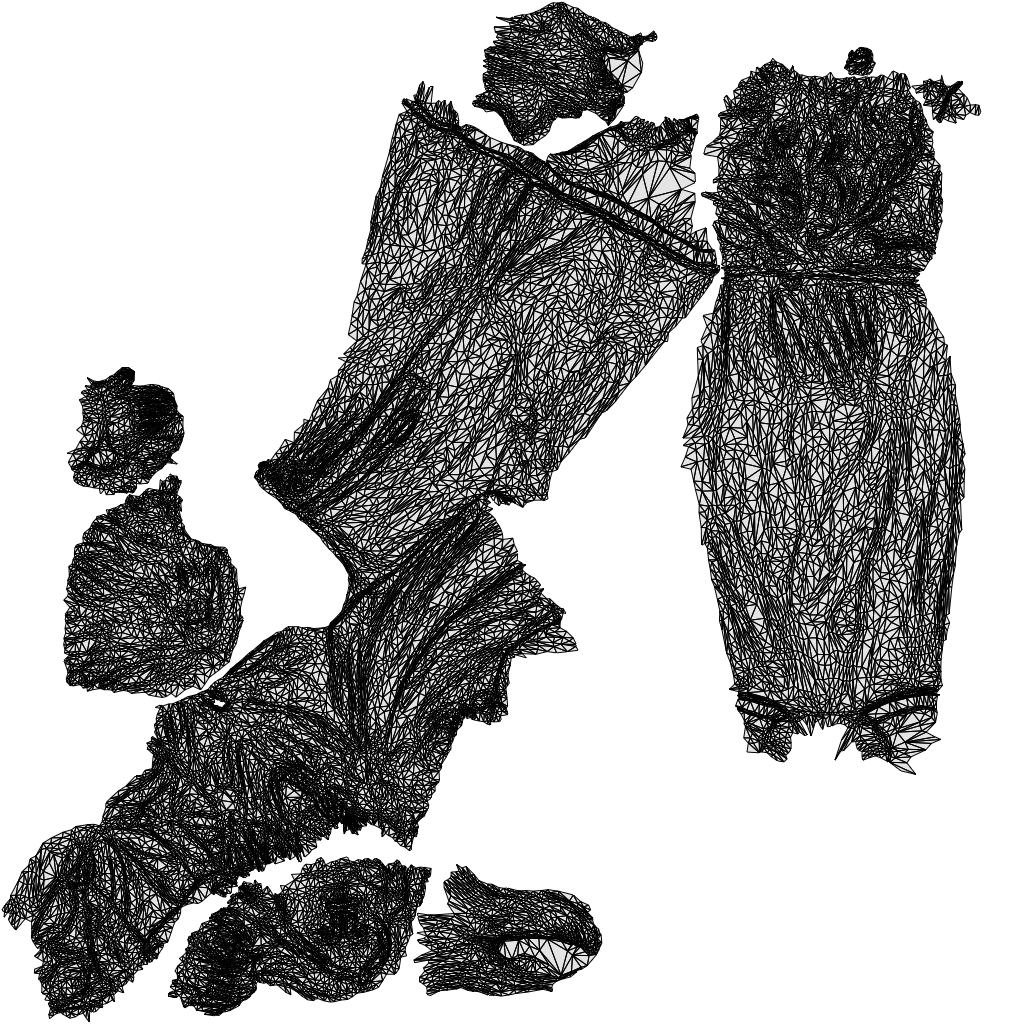 3D people model woman business standing, scanned human for 3ds Max rendering, wireframe top-down view