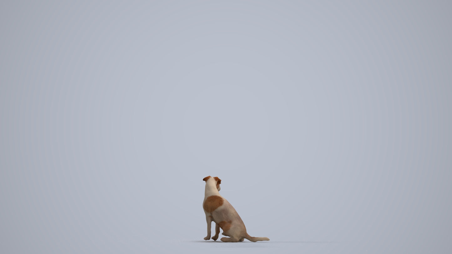 scanned 3D person misc, photogrammetry people for Enscape and V-Ray, front view render