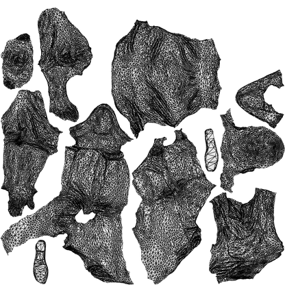 photogrammetry 3D man casual sitting, realistic human model archviz FBX, wireframe top-down view