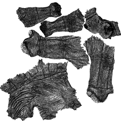 3D people model man casual driving, scanned human for 3ds Max rendering, wireframe top-down view