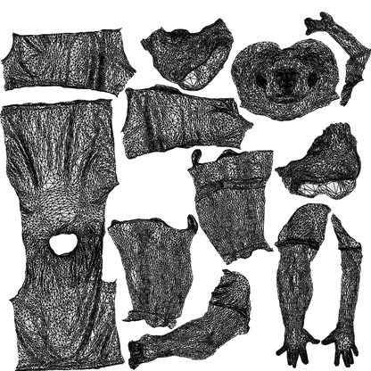 3D human model man sport, photogrammetry scanned person for archviz, wireframe top-down view