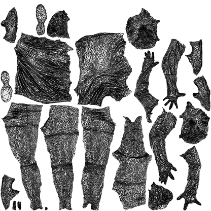 realistic 3D woman sport, scanned archviz people for Blender and 3ds Max, wireframe top-down view