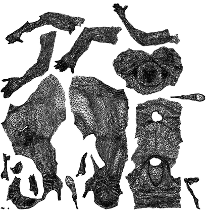 3D people model woman casual sitting, scanned human for 3ds Max rendering, wireframe top-down view