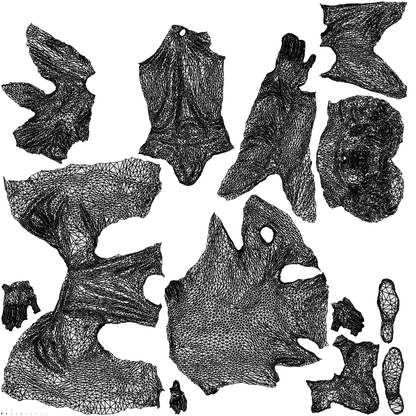 3D people model man casual sitting, scanned human for 3ds Max rendering, wireframe top-down view
