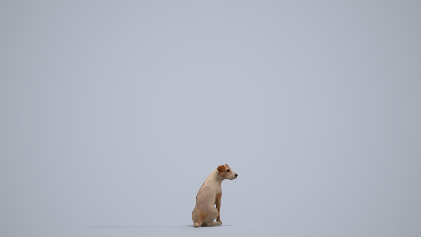 scanned 3D person misc, photogrammetry people for Enscape and V-Ray, side view render