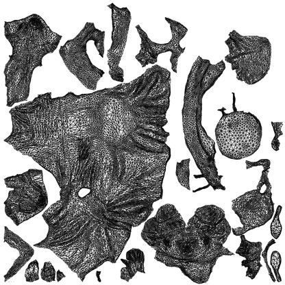 3D people model woman casual sitting, scanned human for 3ds Max rendering, wireframe top-down view