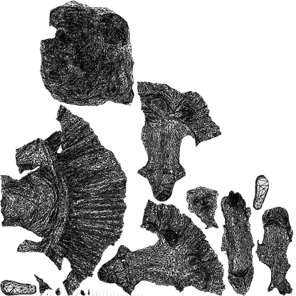 photogrammetry 3D girl casual kids, realistic human model archviz FBX, wireframe top-down view