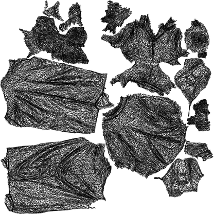 scanned 3D woman casual standing, photogrammetry people for Enscape and V-Ray, wireframe top-down view
