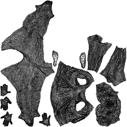 realistic 3D woman sport, scanned archviz people for Blender and 3ds Max, wireframe top-down view