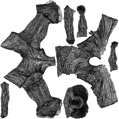 3D human model man sport, photogrammetry scanned person for archviz, wireframe top-down view
