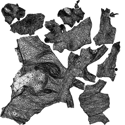 3D human model woman formal, photogrammetry scanned person for archviz, wireframe top-down view