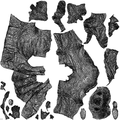 scanned 3D man business, photogrammetry people for Enscape and V-Ray, wireframe top-down view