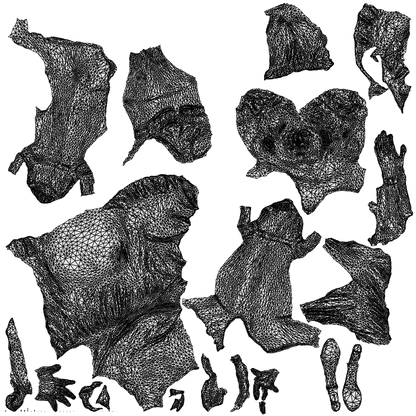 3D people model woman casual sitting, scanned human for 3ds Max rendering, wireframe top-down view