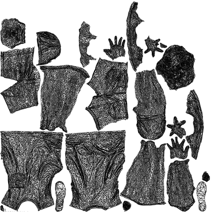 scanned 3D man casual walking, photogrammetry people for Enscape and V-Ray, wireframe top-down view